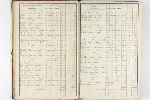 Teilhet - P 10597/1      Section A
