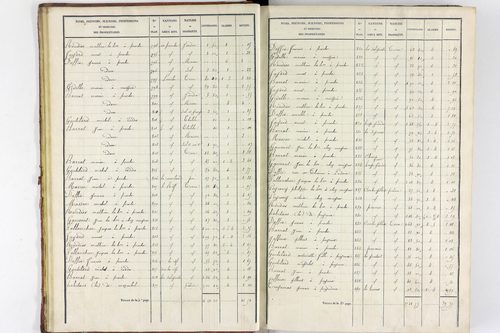 Teilhet - P 10597/1      Section A