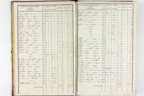 Teilhet - P 10597/1      Section A
