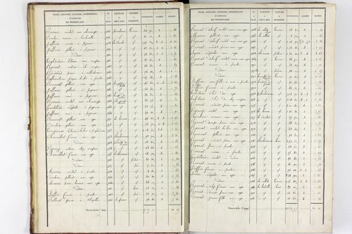 Teilhet - P 10597/1      Section A