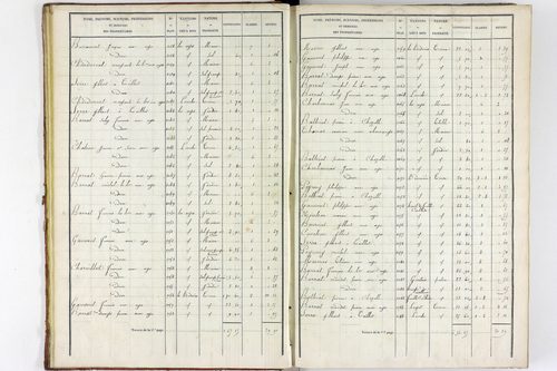 Teilhet - P 10597/1      Section A