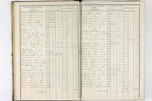 Teilhet - P 10597/1      Section A