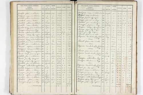 Teilhet - P 10597/2      Section B