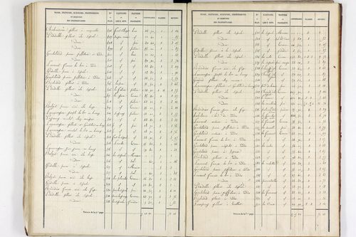 Teilhet - P 10597/3      Section C