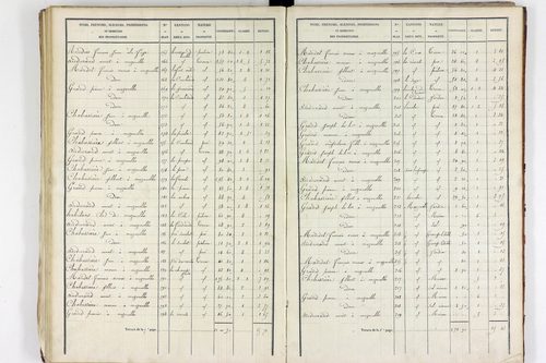 Teilhet - P 10597/3      Section C