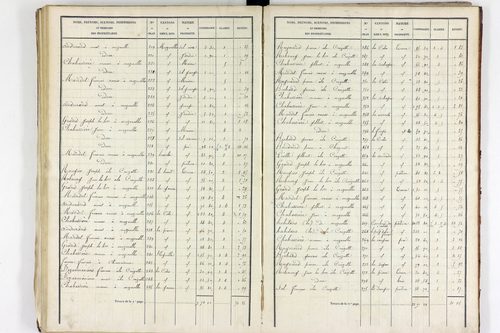Teilhet - P 10597/3      Section C