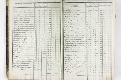 Valbeleix - P 11338/1      Section A