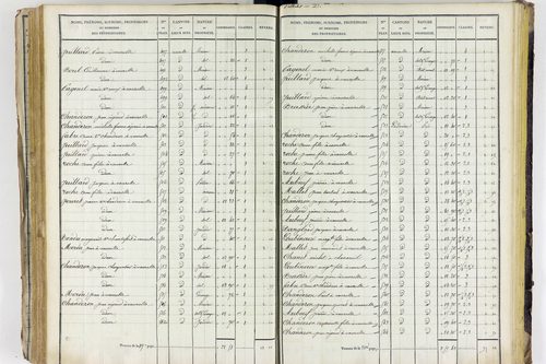 Valbeleix - P 11338/4      Section D