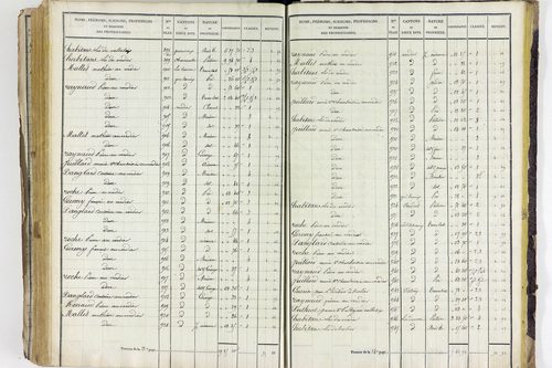 Valbeleix - P 11338/5      Section E