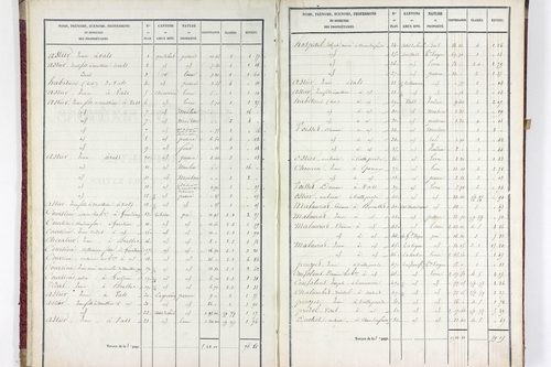 Valz-sous-Châteauneuf - P 11339/1      Section A