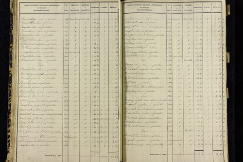 Vernines - P 9999/1      Section C