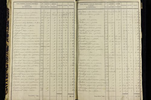 Vernines - P 9999/1      Section C