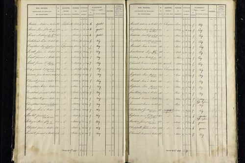 Vichel - P 11343/3      Section C