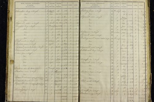 Voingt - P 10632/3      Section C