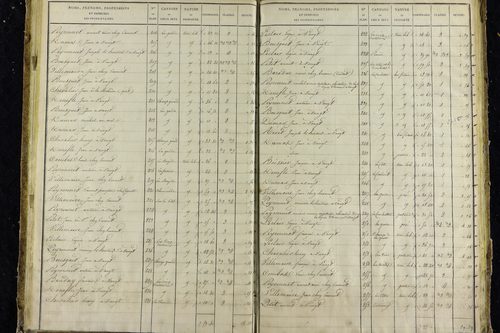 Voingt - P 10632/3      Section C