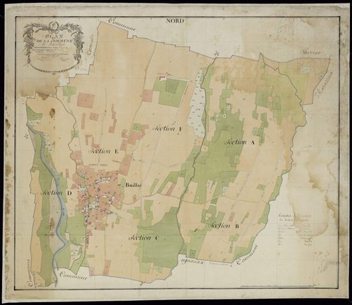 Bazillac - Plan par masse de culture de Bazillac