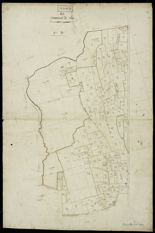 Chis - Chis.- Section D