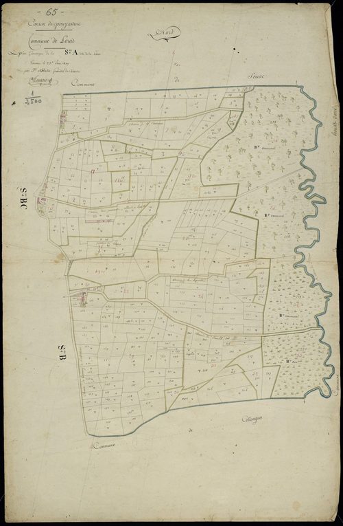Louit - Louit.- Section A