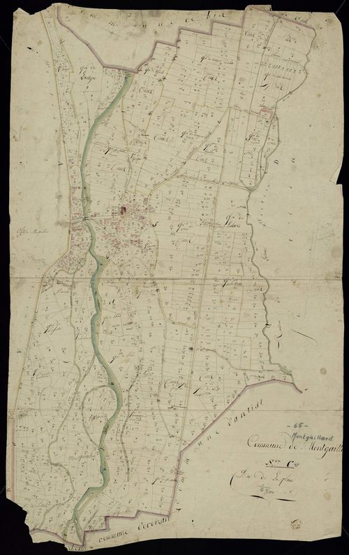 Montgaillard - Montgaillard.- Section C