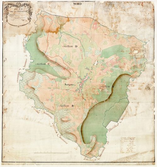 Orignac - Plan par masse de culture d'Orignac
