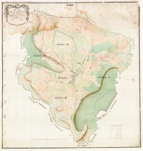 Orignac - Plan par masse de culture d'Orignac