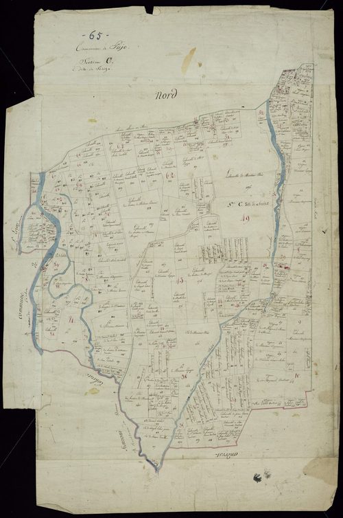 Pujo - Pujo.- Section C