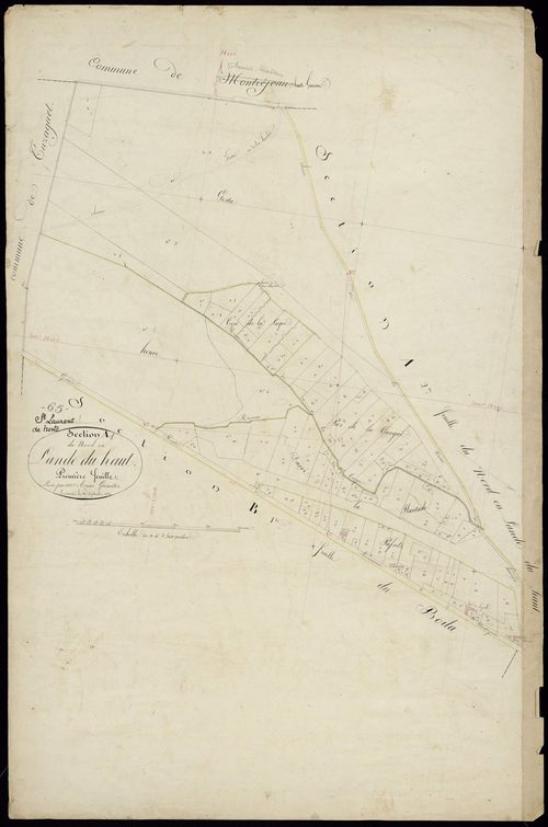 Saint-Laurent-de-Neste - Saint-Laurent-de-Neste.- Section A, 1re feuille