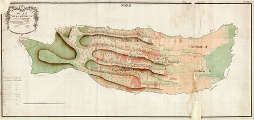Souyeaux - Plan par masse de culture de Souyeaux
