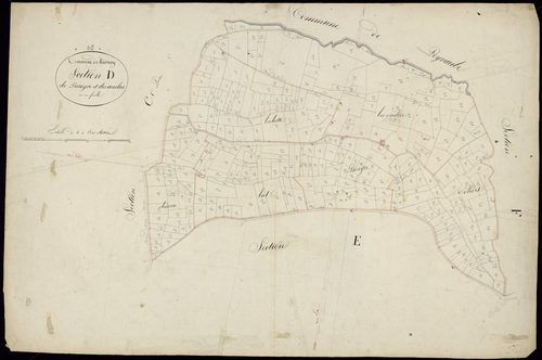 Tournay - Tournay.- Section D