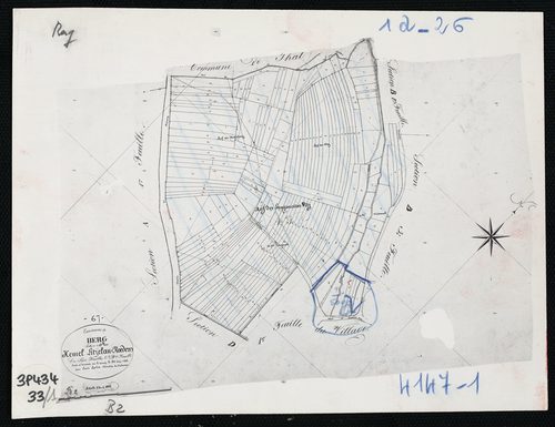 Berg