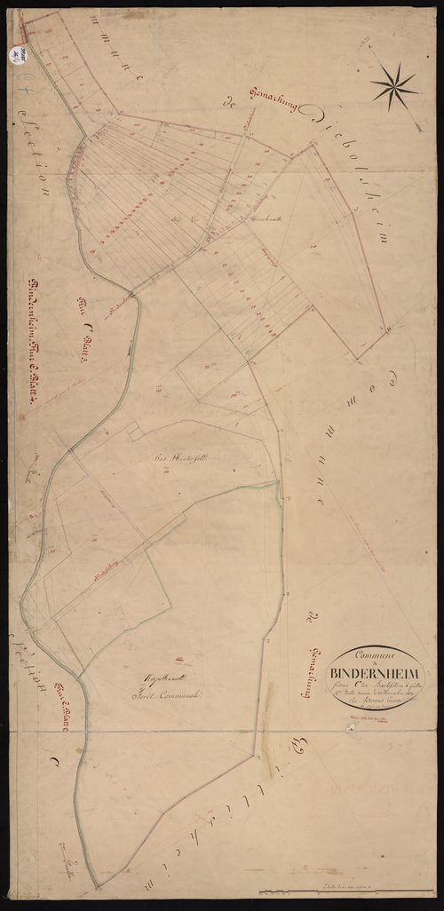 Bindernheim