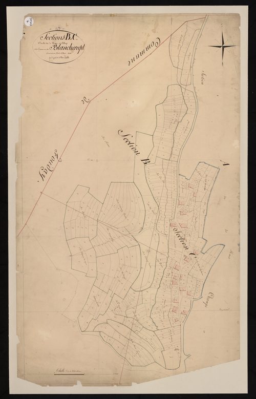 Blancherupt