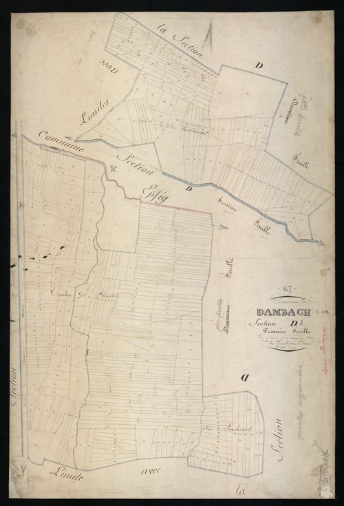 Dambach