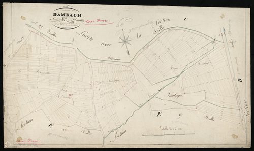 Dambach