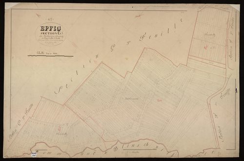 Epfig