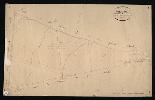 Haguenau
