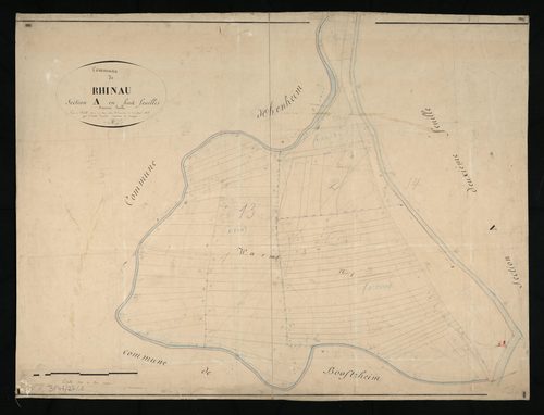 Rhinau