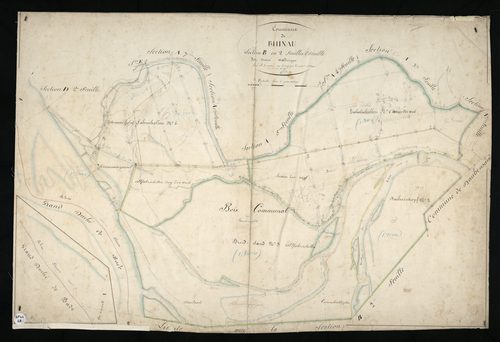 Rhinau