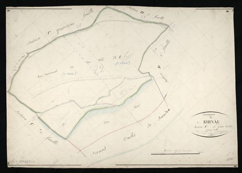 Rhinau