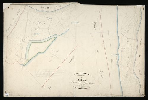 Rhinau