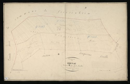 Rhinau