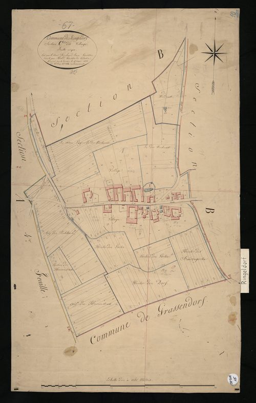 Ringeldorf