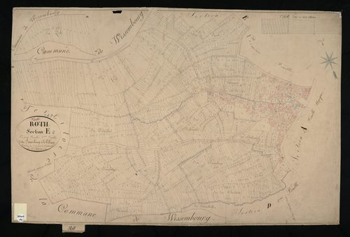 Rott