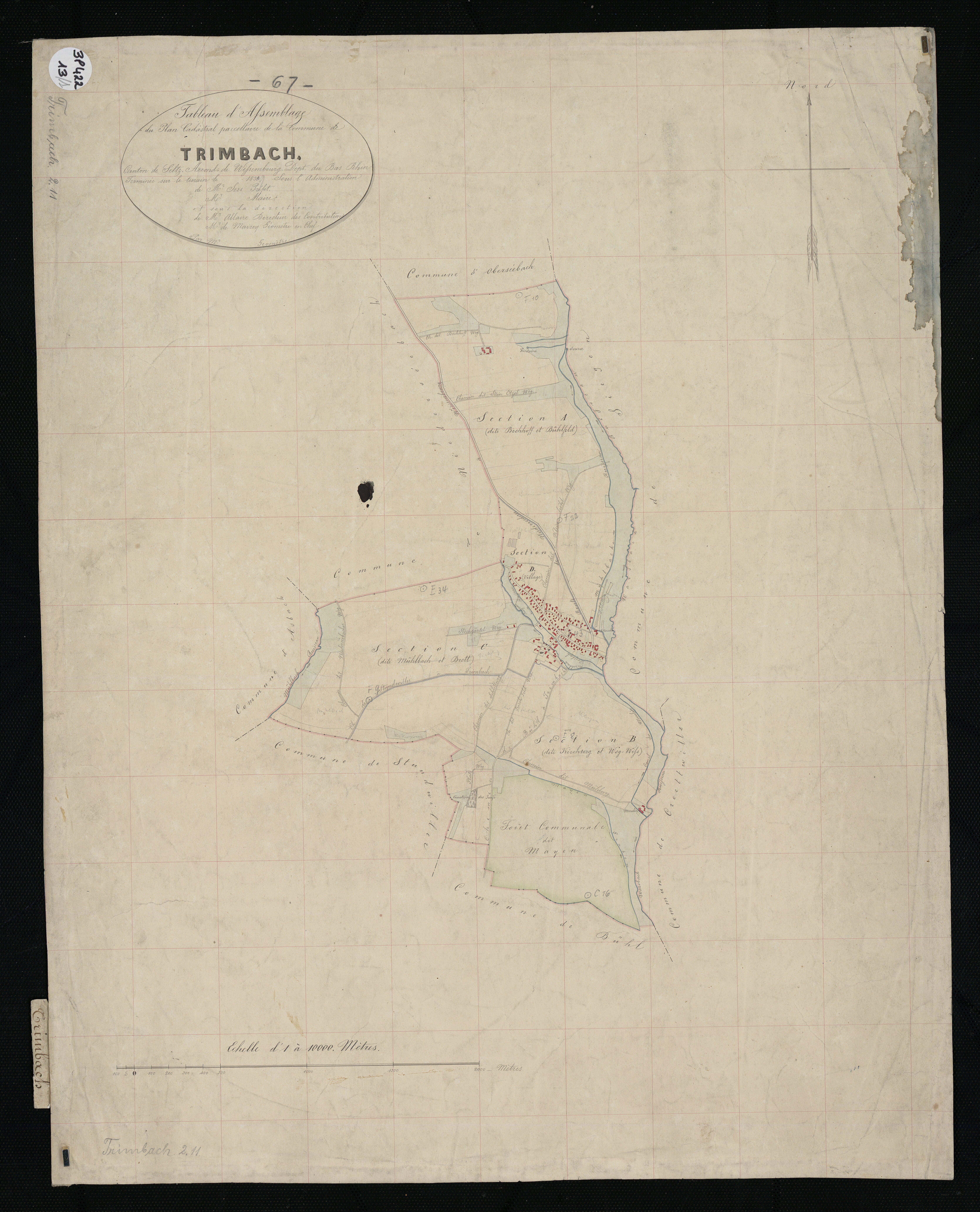 Trimbach