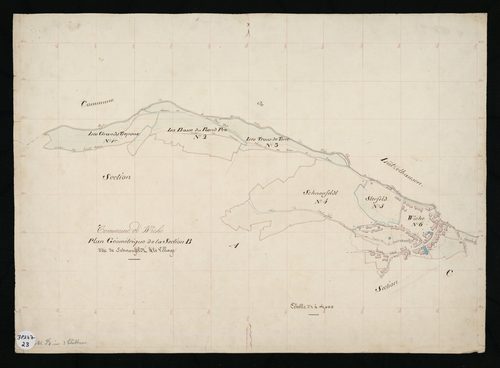 Wisches