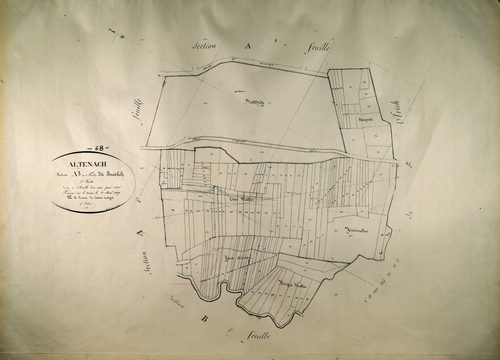 Section A
