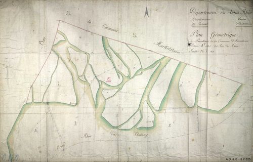 Section C