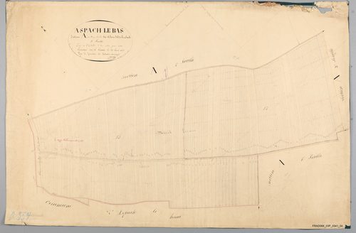 Section A