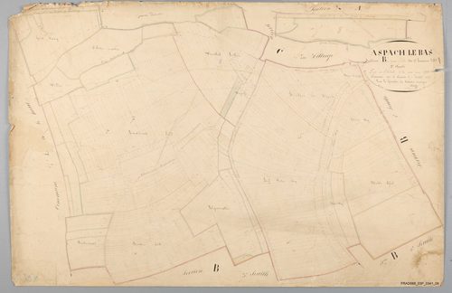 Section B