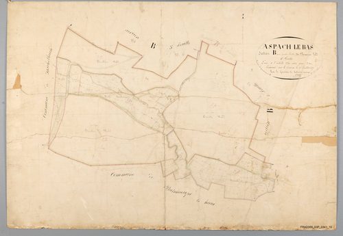 Section B